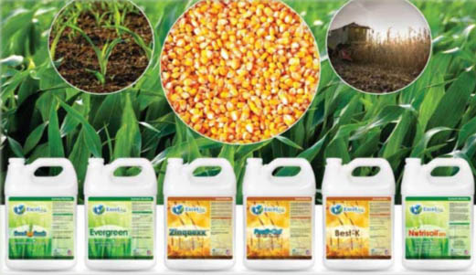 Agricultura